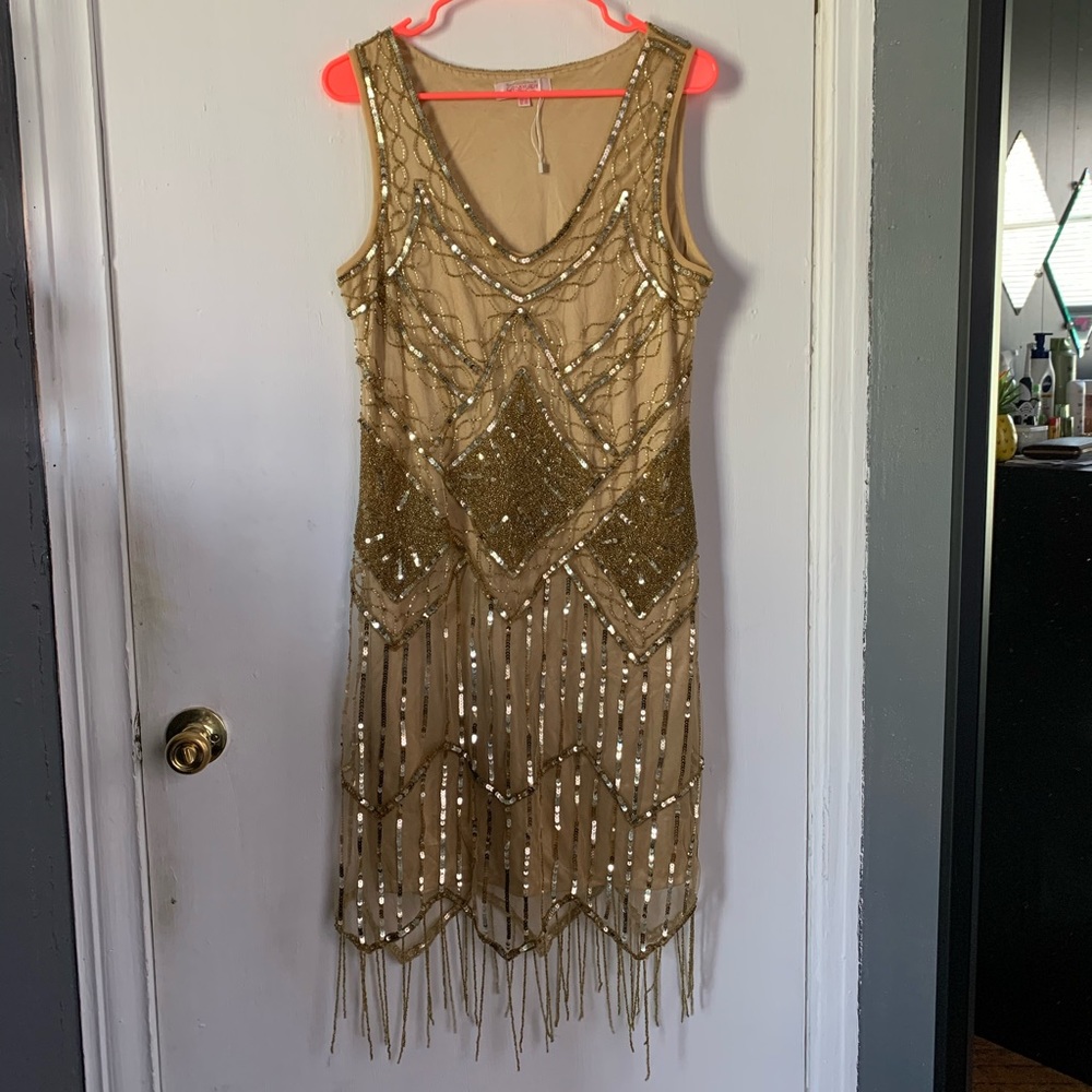 Gorgeous flapper dress